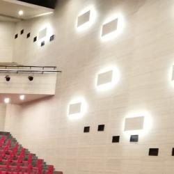 Conference Hall Wall Cladding Conference Hall Wall Cladding