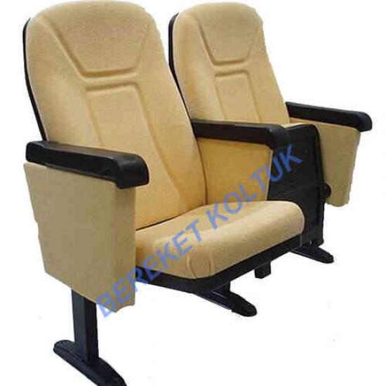 Martin Sinema ve Konferans Koltuğu